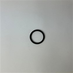 BIA WP10 20  O-RING 42 X 4.15   BIA-WP10-20