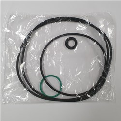 DABS R00005306 - O-RING / GASKET