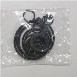 DABS SP00002239 - O RING KIT