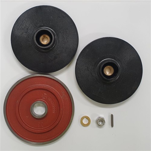 DABS R00005613 - 2 Impellers, includes Diffuser, Key, Nut tosuit DAB K35-40