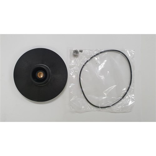 DABS R00007496 - 2 Impellers, includes Diffuser, Key, Nut for DAB K55-50