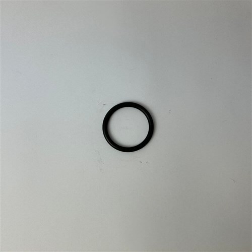 BIA WP10 20  O-RING 42 X 4.15   BIA-WP10-20